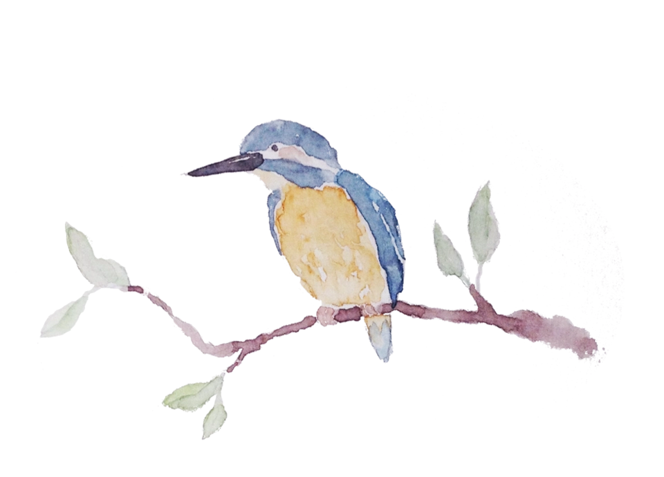 Watercolor kingfisher 2