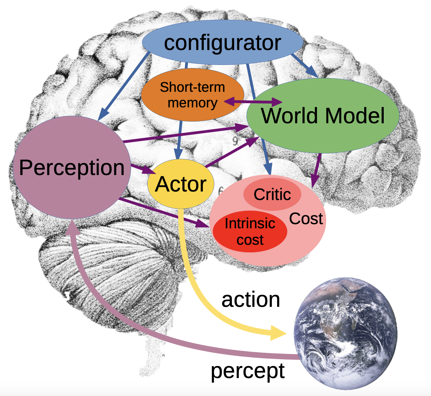 LeCun's cognitive architecture for autonomous intelligence